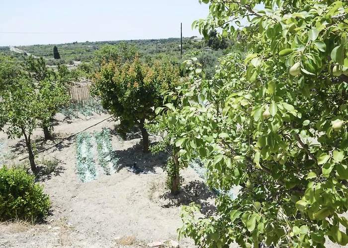 בית כפרי Jardinu נוטו