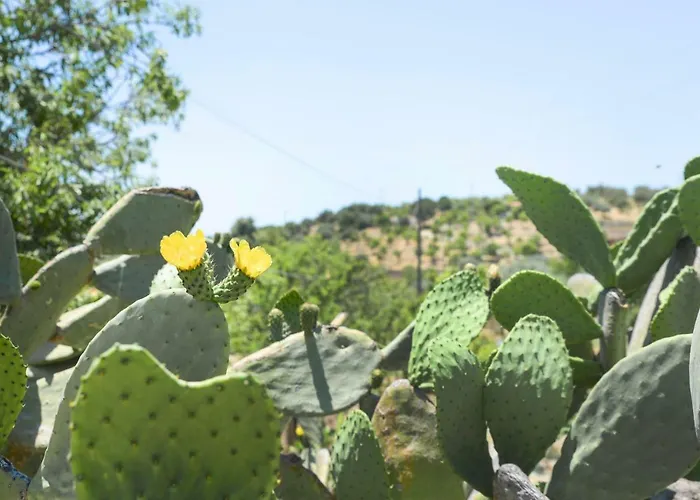 Jardinu *