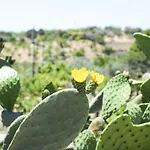 Jardinu Noto