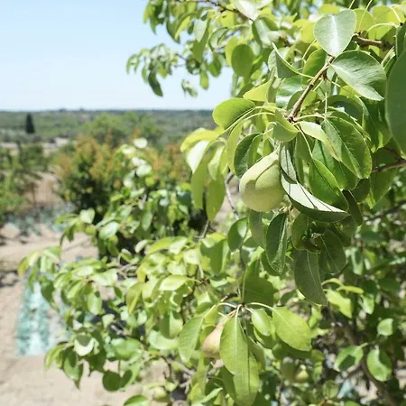 Jardinu Country house Noto