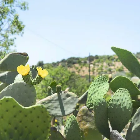 Jardinu *