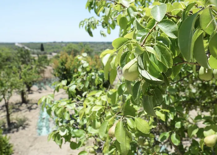 Jardinu Séjour à la campagne Noto